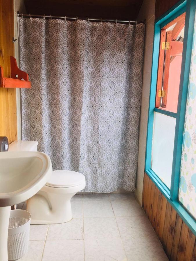 Hostel Raiz Пукон Экстерьер фото