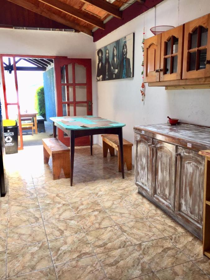 Hostel Raiz Пукон Экстерьер фото